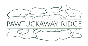 Pawtuckaway Ridge